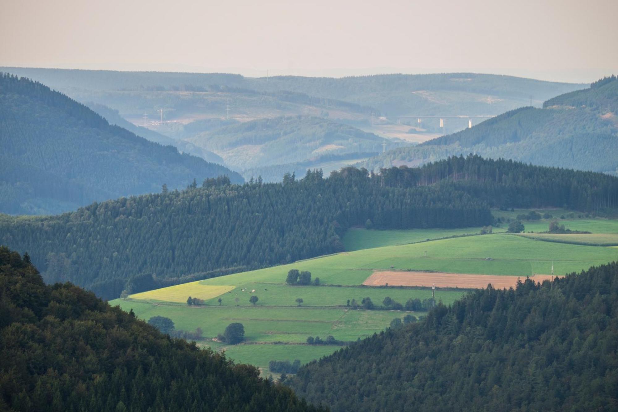 Gasthof-Pension Hunaustuben Schmallenberg Eksteriør bilde